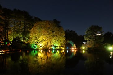 NAKED 紅葉の新宿御苑2023に投稿された画像（2023/11/26）