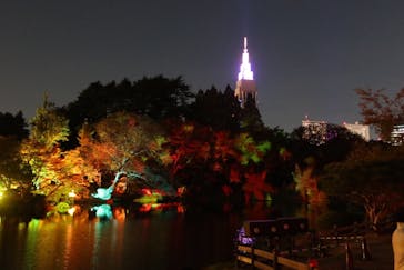 NAKED 紅葉の新宿御苑2023に投稿された画像（2023/11/26）