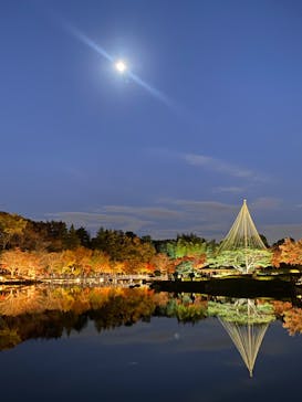 国営昭和記念公園 秋の夜散歩に投稿された画像（2023/11/26）