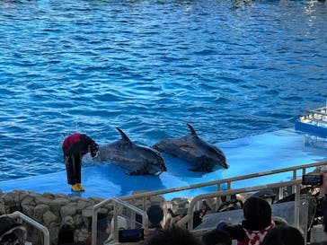 名古屋港水族館に投稿された画像（2023/11/26）