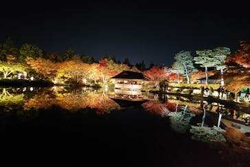 国営昭和記念公園 秋の夜散歩に投稿された画像（2023/11/26）