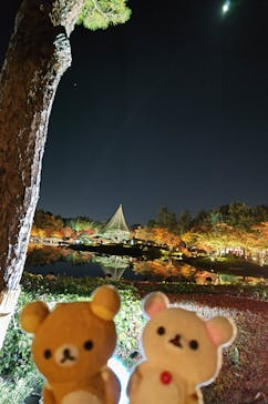 国営昭和記念公園 秋の夜散歩に投稿された画像（2023/11/26）