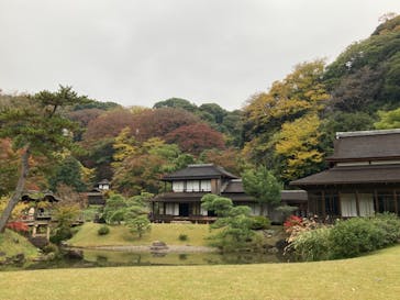 三溪園に投稿された画像（2023/11/26）