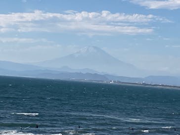 新江ノ島水族館に投稿された画像（2023/11/26）