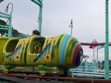 伊豆ぐらんぱる公園に投稿された画像（2023/11/26）