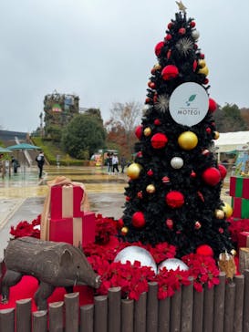 モビリティリゾートもてぎに投稿された画像（2023/11/26）