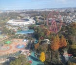 西武園ゆうえんちに投稿された画像（2023/11/26）