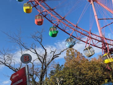 西武園ゆうえんちに投稿された画像（2023/11/26）