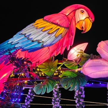 伊豆ぐらんぱる公園に投稿された画像（2023/11/26）