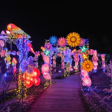 伊豆ぐらんぱる公園に投稿された画像（2023/11/26）