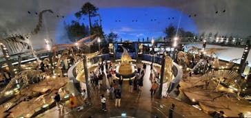 福井県立恐竜博物館に投稿された画像（2023/11/26）