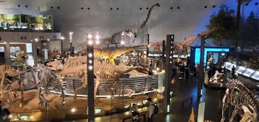 福井県立恐竜博物館に投稿された画像（2023/11/26）