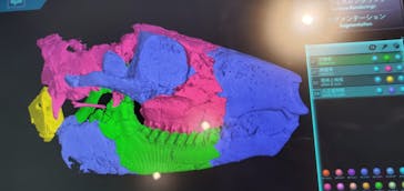 福井県立恐竜博物館に投稿された画像（2023/11/26）