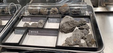 福井県立恐竜博物館に投稿された画像（2023/11/26）