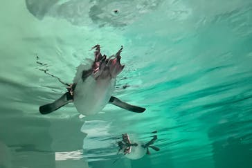 AOAO SAPPOROに投稿された画像（2023/11/26）