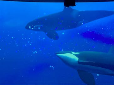 AOAO SAPPOROに投稿された画像（2023/11/26）