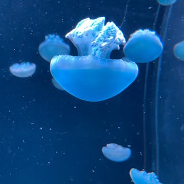 AOAO SAPPOROに投稿された画像（2023/11/26）