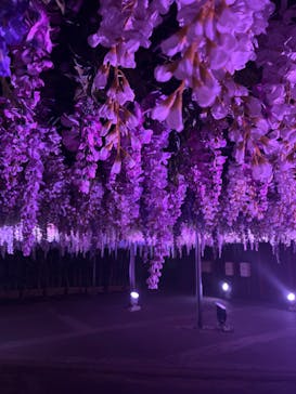 東京メガイルミに投稿された画像（2023/11/26）