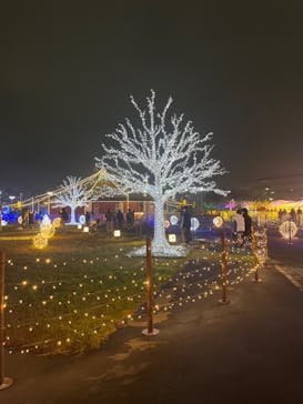 東京メガイルミに投稿された画像（2023/11/26）