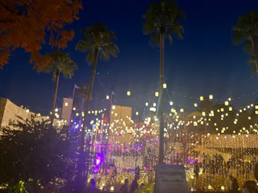 ひらかたパークに投稿された画像（2023/11/26）