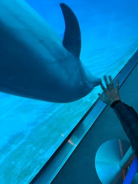 名古屋港水族館に投稿された画像（2023/11/26）