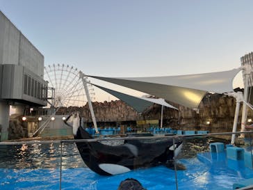 名古屋港水族館に投稿された画像（2023/11/26）