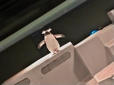 AOAO SAPPOROに投稿された画像（2023/11/26）