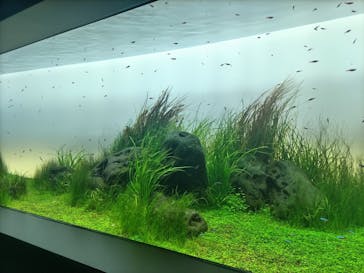 AOAO SAPPOROに投稿された画像（2023/11/26）