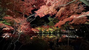 名古屋市東山動植物園に投稿された画像（2023/11/26）