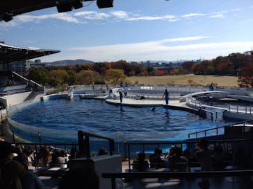 京都水族館に投稿された画像（2023/11/26）