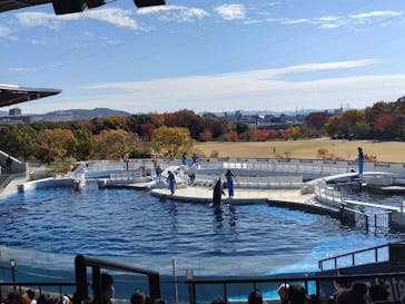 京都水族館に投稿された画像（2023/11/26）
