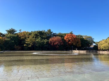 豊田市美術館に投稿された画像（2023/11/26）