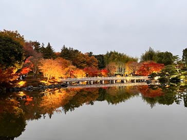 国営昭和記念公園 秋の夜散歩に投稿された画像（2023/11/26）