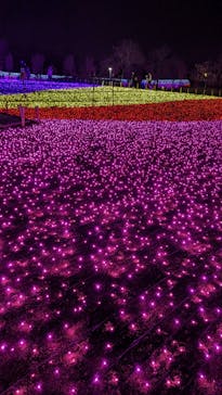 東武動物公園に投稿された画像（2023/11/26）