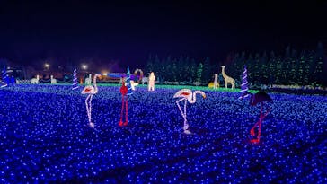 東武動物公園に投稿された画像（2023/11/26）