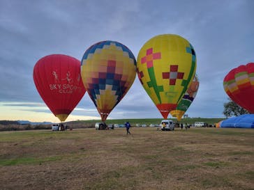 ウイニングバルーンクラブに投稿された画像（2023/11/26）