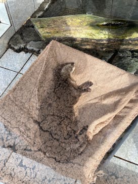 下田海中水族館に投稿された画像（2023/11/26）