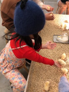 Moff アニマル カフェ イーアス 高尾店に投稿された画像（2023/11/26）