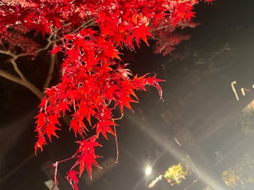 名古屋市東山動植物園に投稿された画像（2023/11/26）