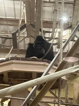 名古屋市東山動植物園に投稿された画像（2023/11/26）