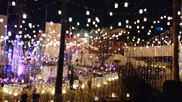 ひらかたパークに投稿された画像（2023/11/26）