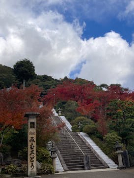 京阪電車に投稿された画像（2023/11/26）