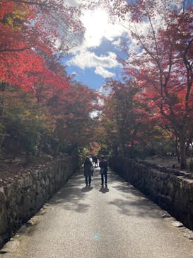 京阪電車に投稿された画像（2023/11/26）