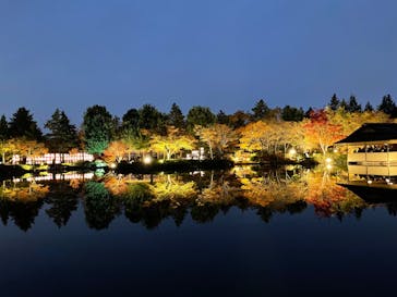 国営昭和記念公園 秋の夜散歩に投稿された画像（2023/11/26）