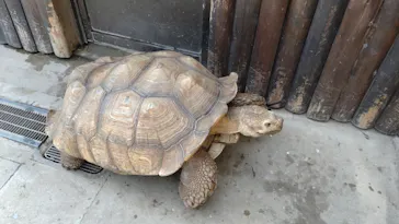 神戸どうぶつ王国に投稿された画像（2023/11/26）