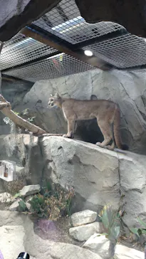 神戸どうぶつ王国に投稿された画像（2023/11/26）