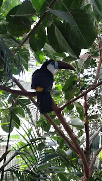 神戸どうぶつ王国に投稿された画像（2023/11/26）