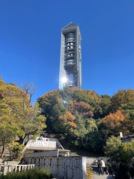 名古屋市東山動植物園に投稿された画像（2023/11/26）