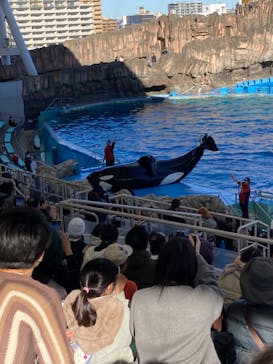 名古屋港水族館に投稿された画像（2023/11/26）
