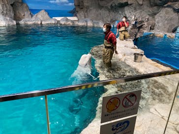 名古屋港水族館に投稿された画像（2023/11/26）